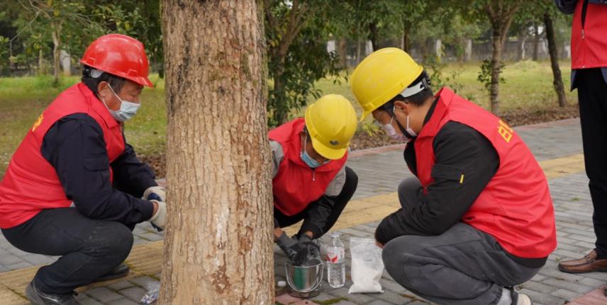 住建部门组织人员开展灭蚁行动。