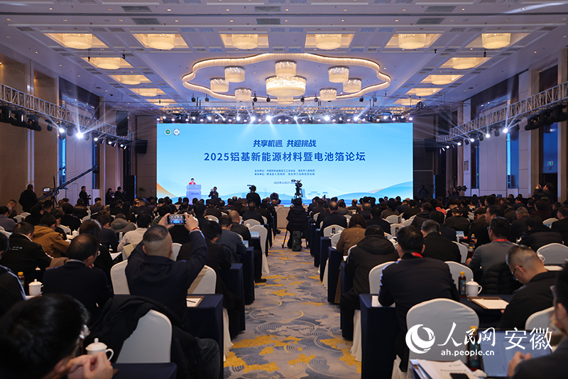 論壇現場。人民網記者 王曉飛攝