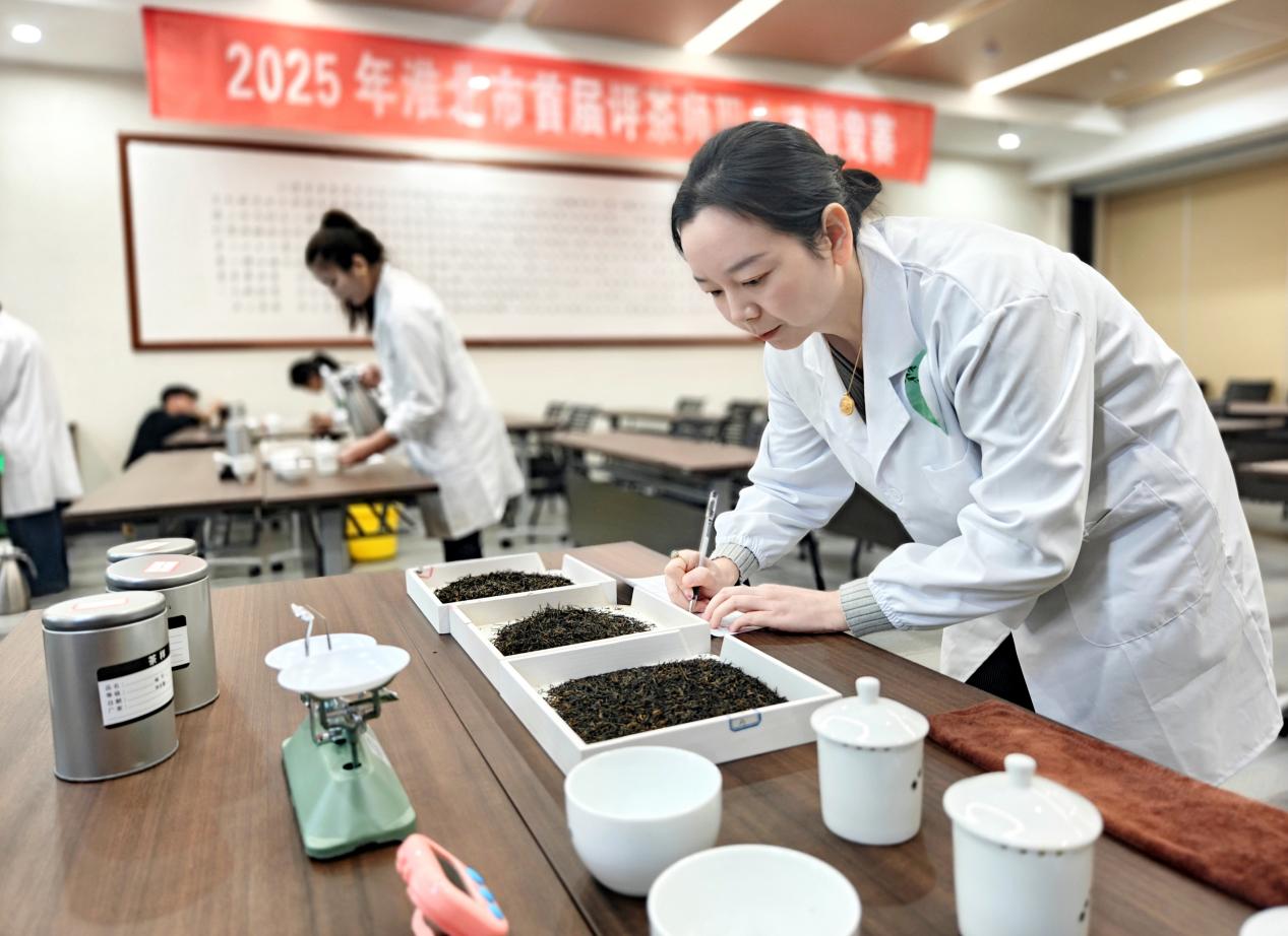 大賽現場。趙天祥攝