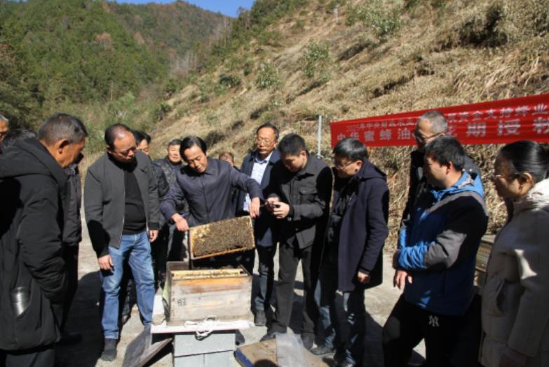 油茶“蜂机协同授粉”技术现场培训会现场。