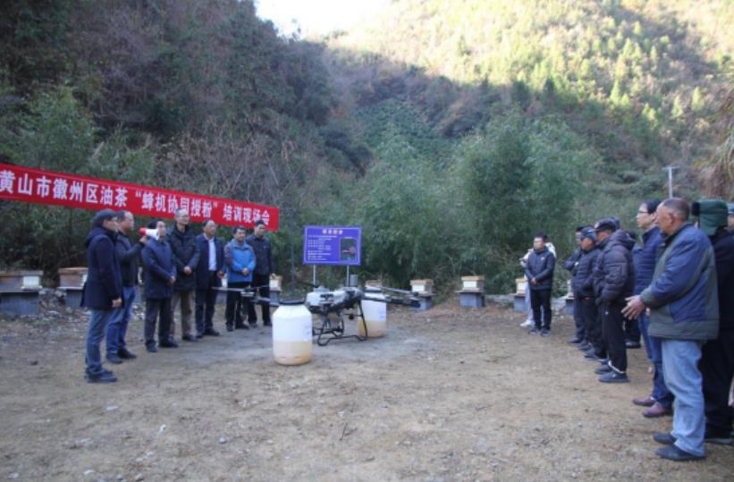 无人机授粉辅助作业。