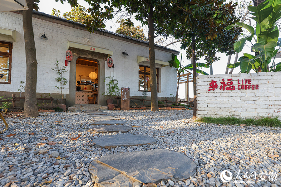 芜湖湾沚区小陶村，众多主理人回到乡村打理产业。人民网记者 张俊摄