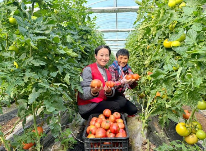 Pg电子游戏平台：高质量发展这五年｜安徽移动：乡土蝶变数字春风暖万家(图1)