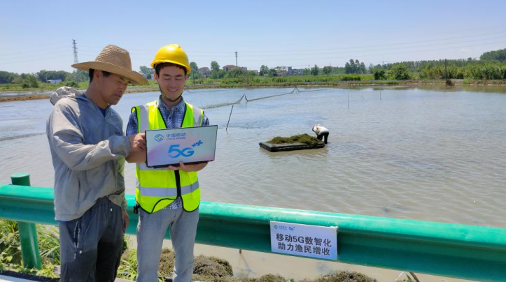 Pg电子游戏平台：高质量发展这五年｜安徽移动：乡土蝶变数字春风暖万家(图2)