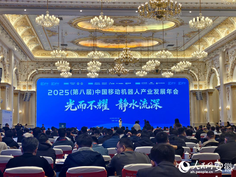 大会现场。人民网 陶伟摄
