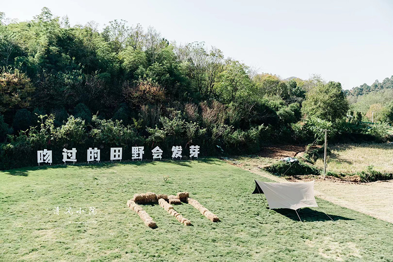 清风小院风景独好。濮塘镇供图