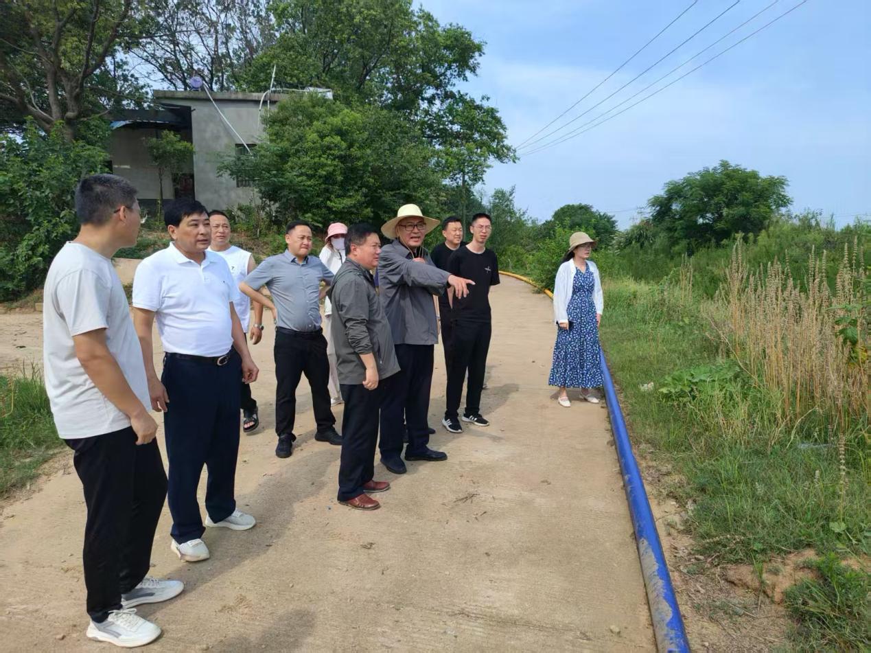人大代表查看破损路面及水利设施修复情况。 桐城市人大常委会供图