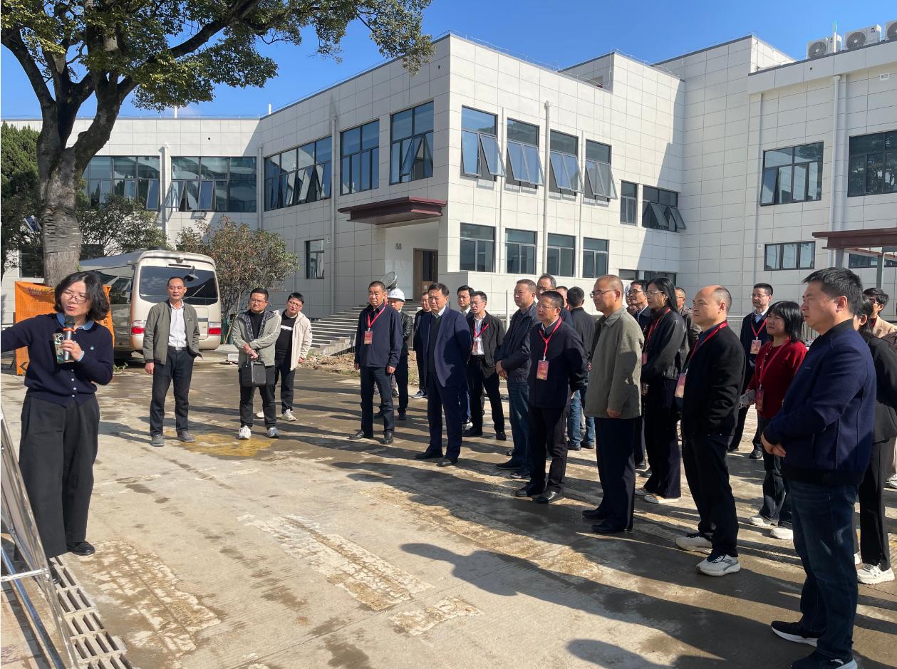 桐城市人大常委会组织代表视察2025年度民生实事票决制项目建设情况。 桐城市人大常委会供图