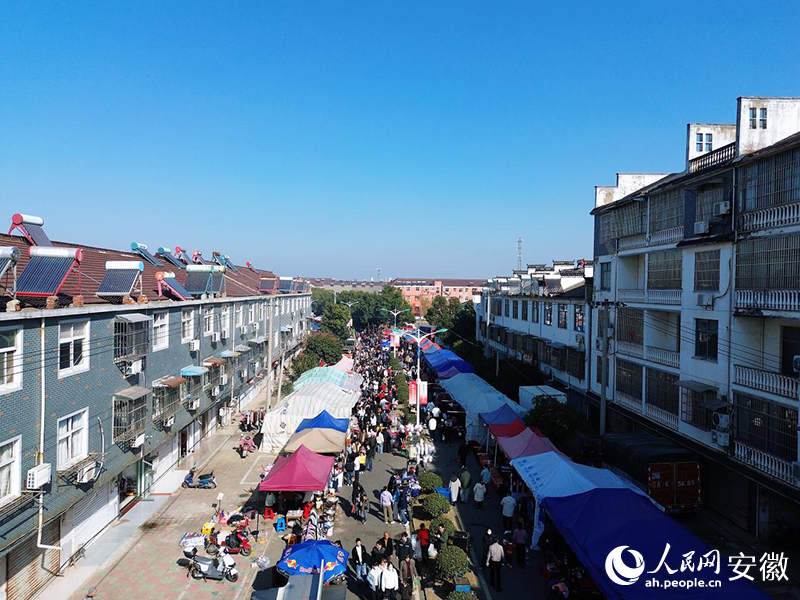 俯瞰新发镇民俗市集一隅。人民网记者 王晓飞摄