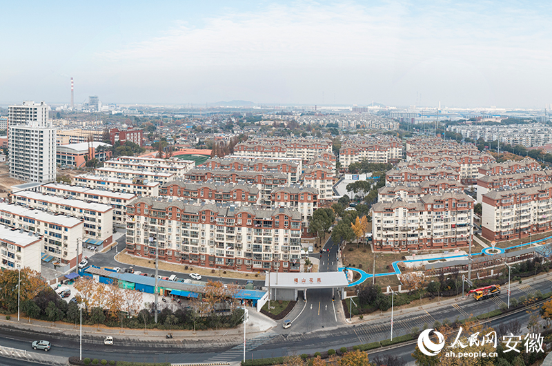 俯瞰褐山花苑。人民网记者 张俊摄