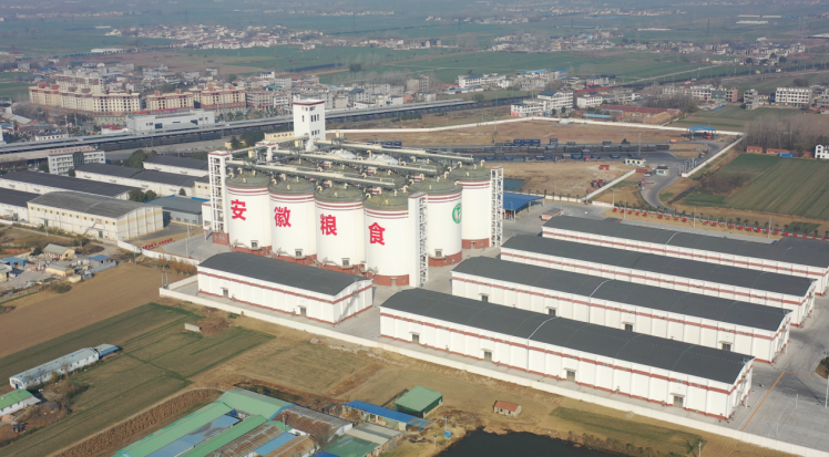 利辛省级粮食储备库。