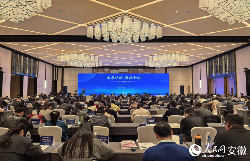 推介会现场。人民网记者 韩震震摄