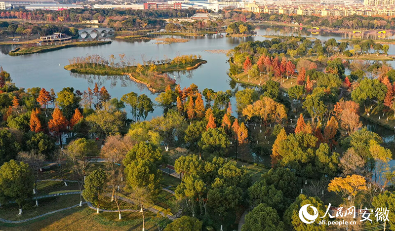 俯瞰大阳垾公园。人民网记者 张俊摄