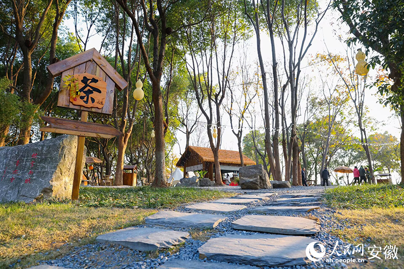 林下茶舍。人民网记者 张俊摄