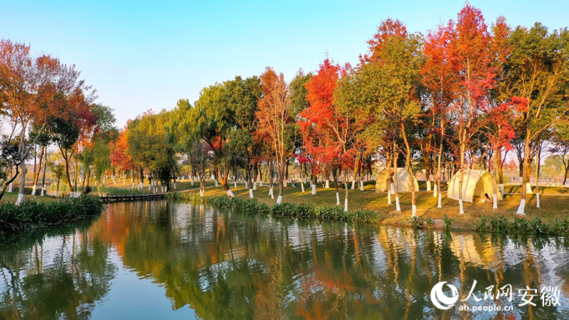大阳垾公园一隅。人民网记者 张俊摄