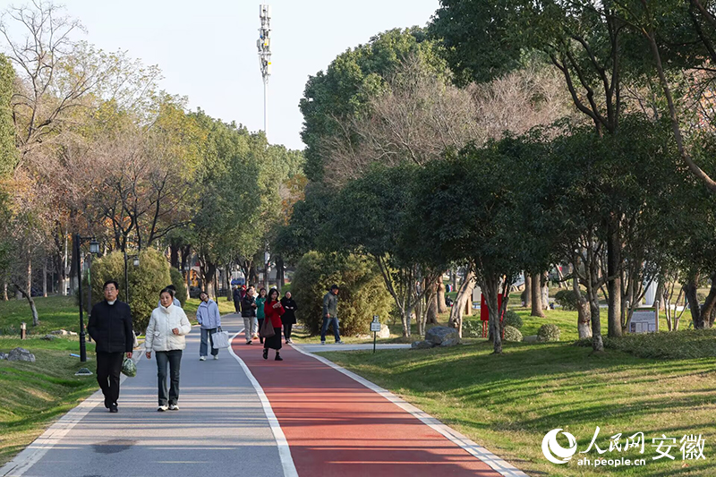 市民在大阳垾公园散步休闲。人民网记者 张俊摄