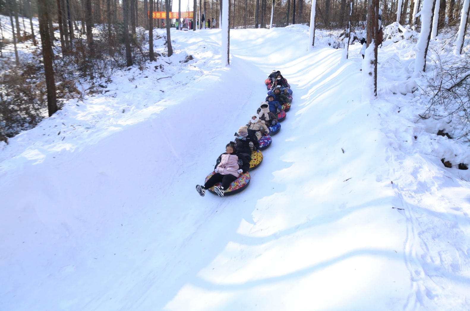 撫順2000米長的“雪地貪吃蛇”林間雪圈道上，尖叫聲不斷。
