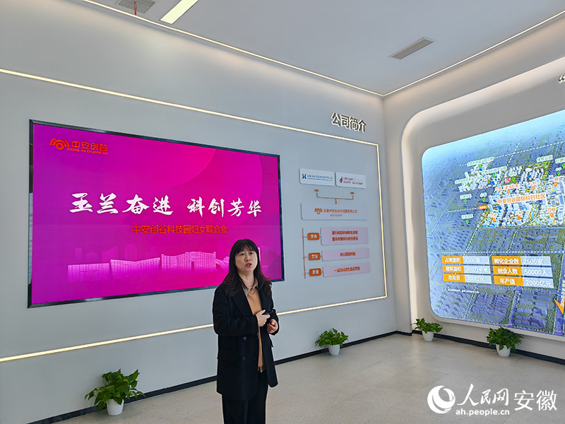 “广玉兰”开遍庐州城