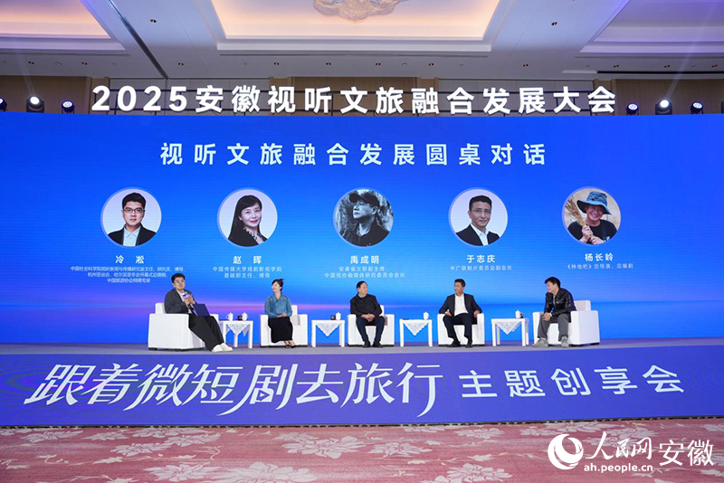 圆桌对话。人民网记者 苗子健摄