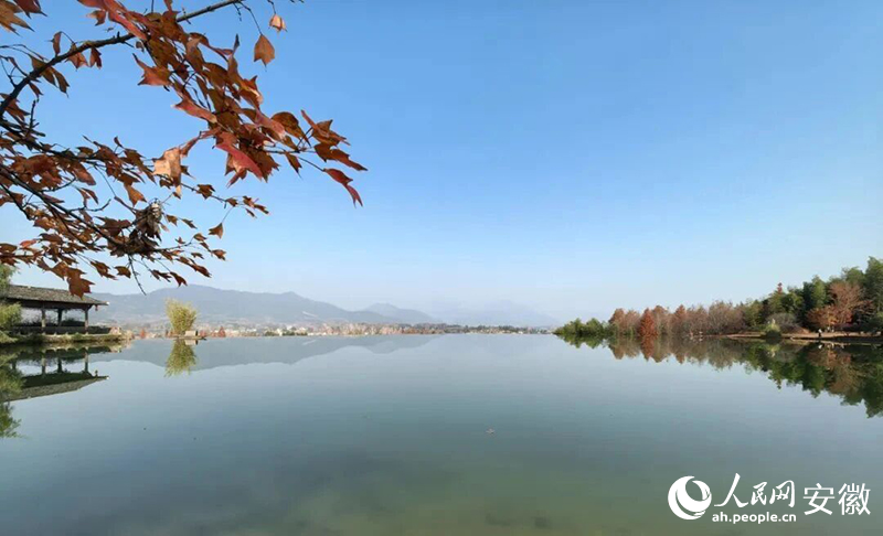 黟县守拙园“故渊”湖。人民网记者 汪瑞华摄