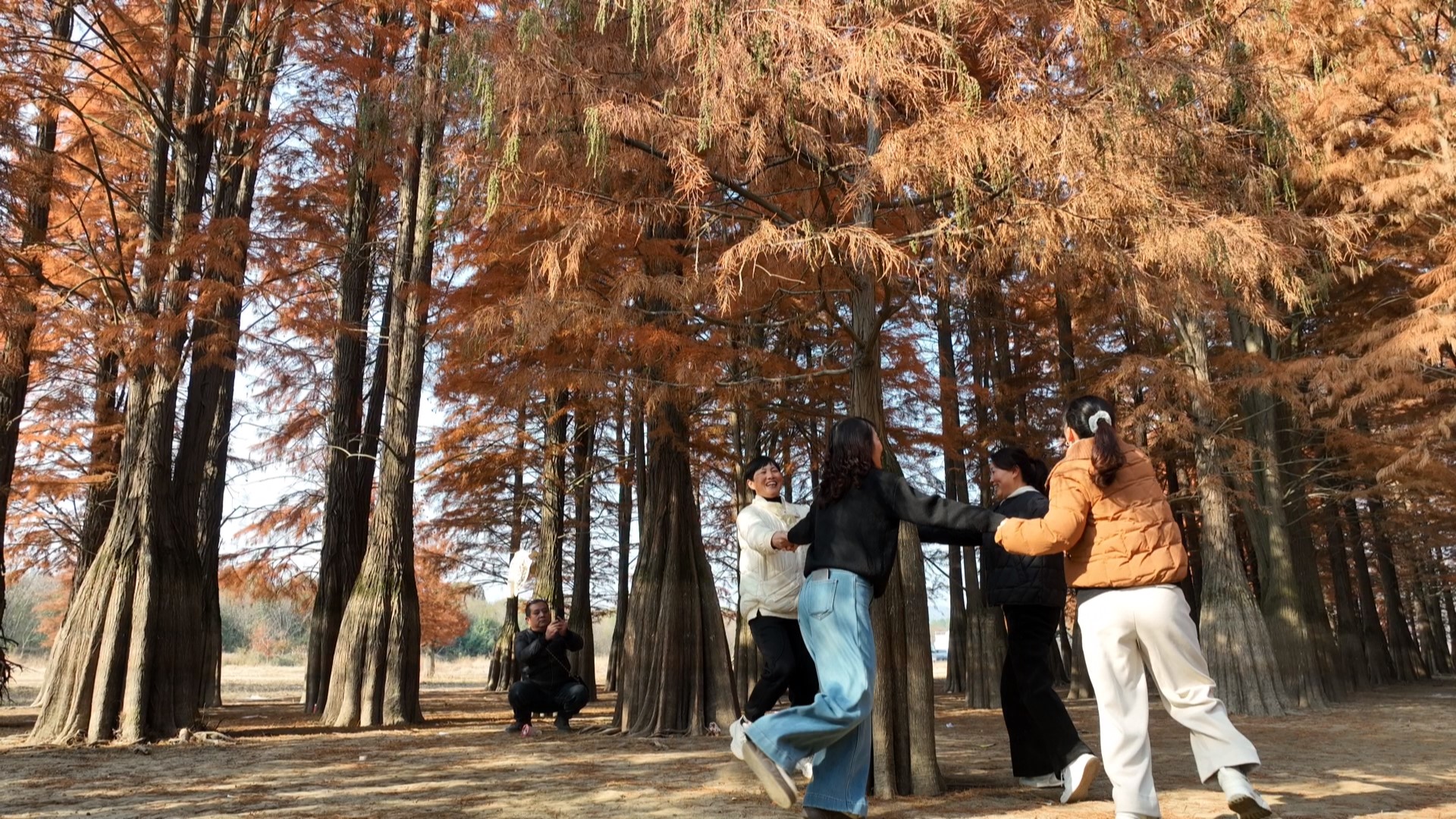 安徽怀宁:红杉引客 农旅增收