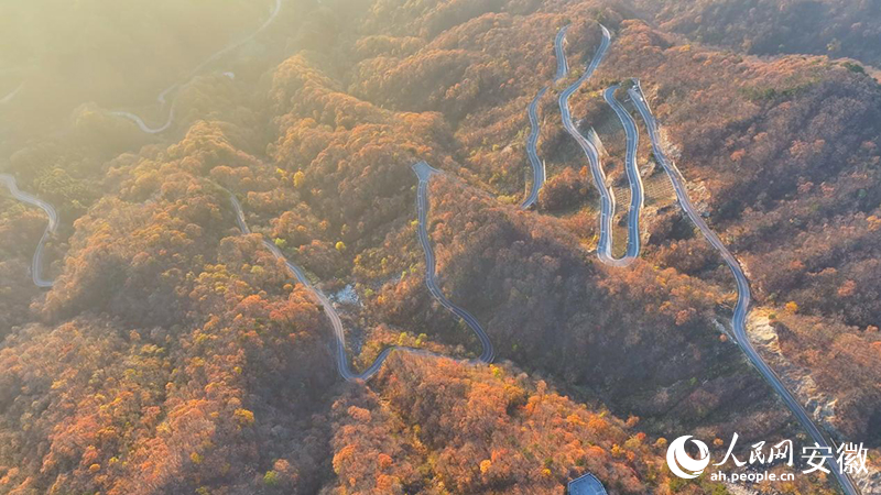 俯瞰金寨县红岭公路秋景。人民网 郭昊摄