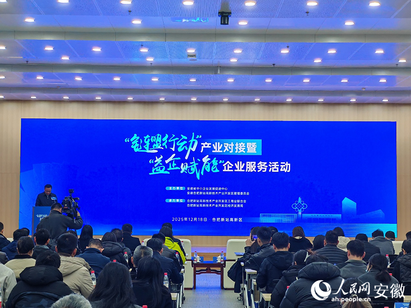 “鏈盟行動”產業對接暨“益企賦能”企業服務活動。人民網 丁紀攝