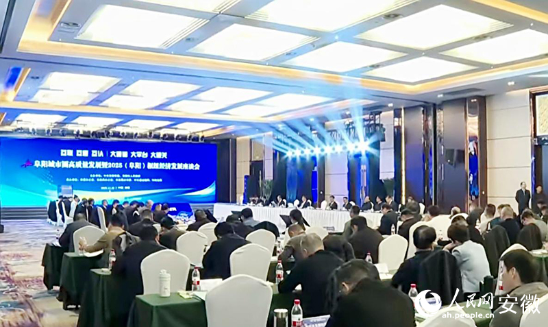 阜陽城市圈高質量發展暨2025（阜陽）樞紐經濟發展座談會現場。人民網記者 陳若天攝
