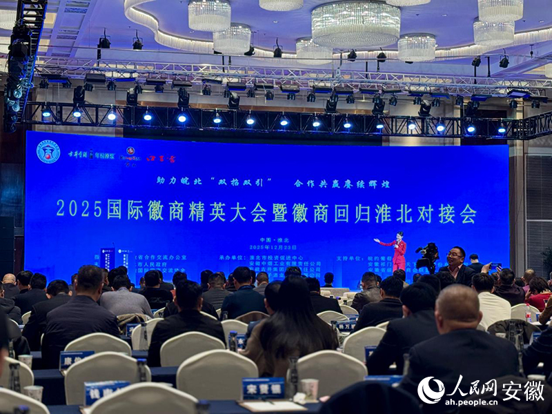 对接会现场。人民网记者 吕欢欢摄