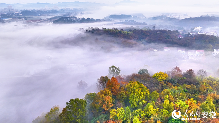 水墨画卷,美不胜收。人民网 郭昊摄