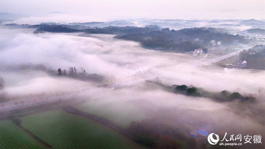 万佛湖晨雾如画。人民网 郭昊摄
