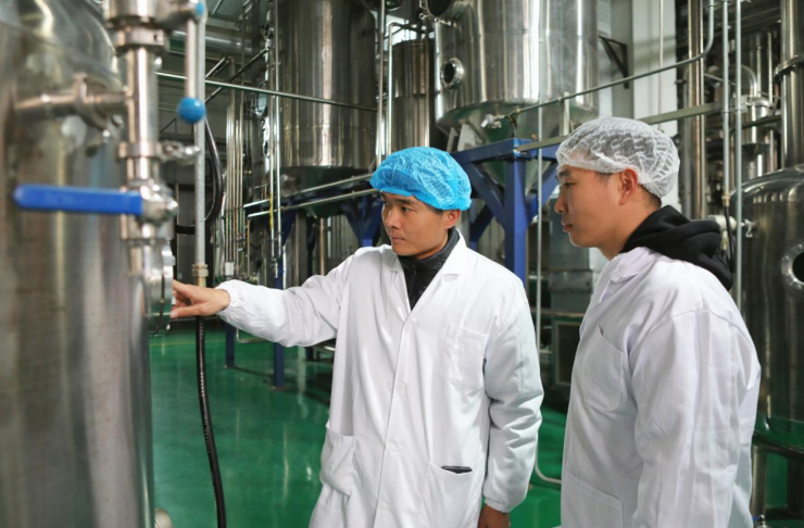 鹭燕中药产业园技术人员正在布置实验室。陈显锋 摄