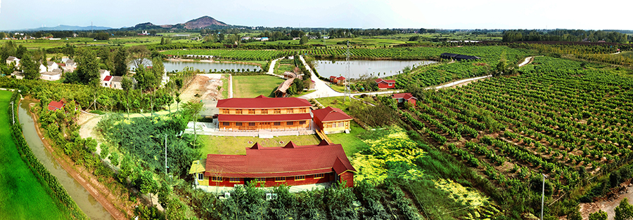 綠都生態園。黃大塘村供圖