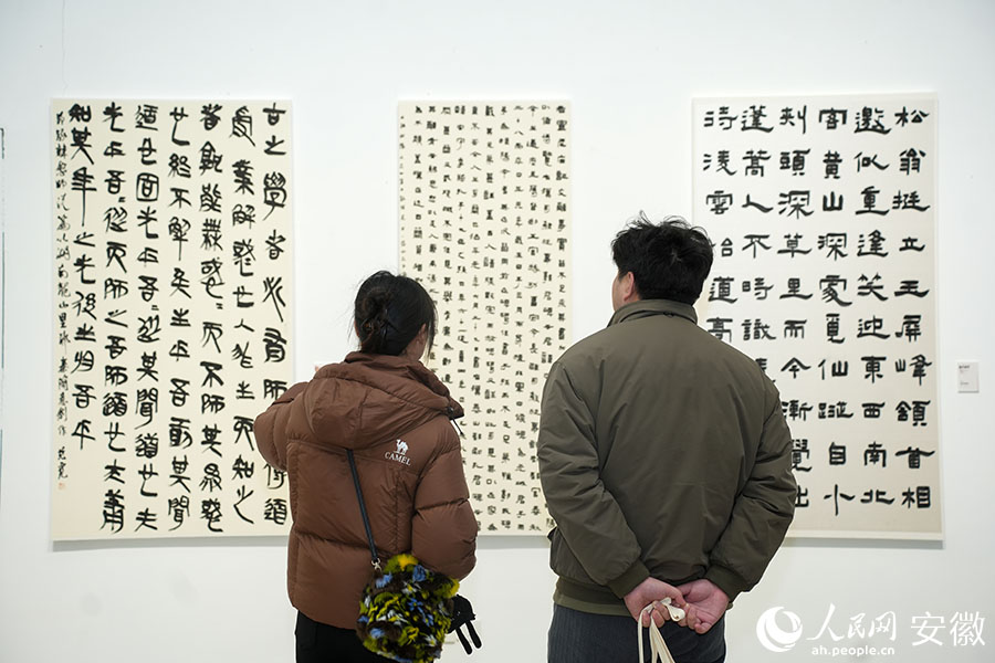 市民正在欣赏展品。人民网记者 王锐摄