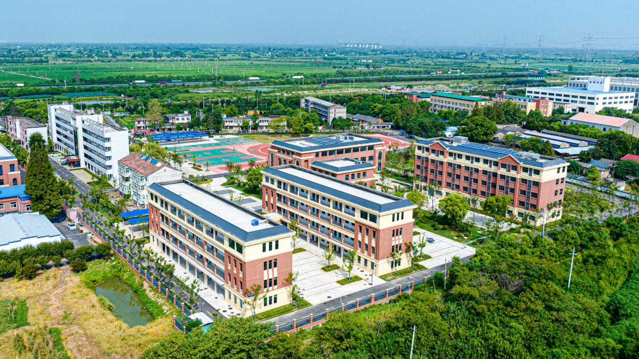 校园全景。丰乐镇供图