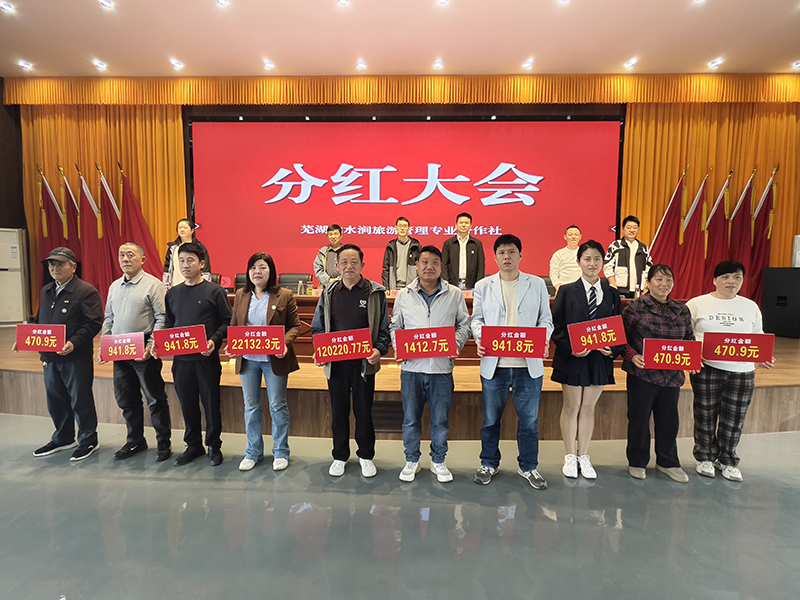 集体经济分红大会。弋江区委组织部供图