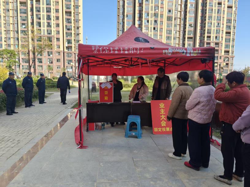 邢塘社区幸福家园小区业主大会固定投票点，业主排队投票。