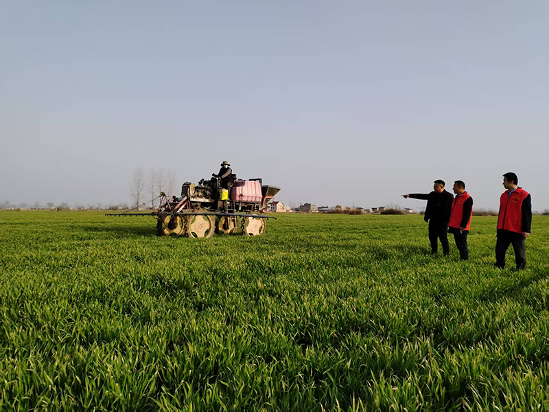 阜陽農行黨員先鋒隊深入走訪種糧大戶、家庭農場等,用心、用情、用力做好涉農金融服務。