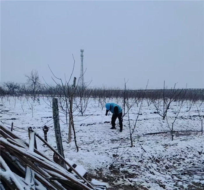 移动工程师在雪地中巡检。