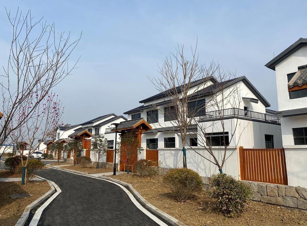 朱灣鎮大戶陸村。