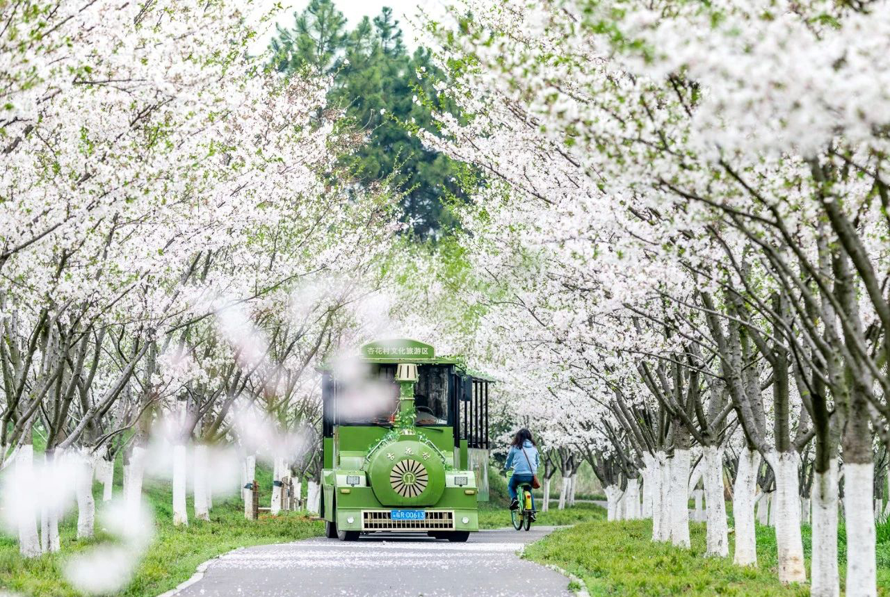 邮储银行安徽省分行助力杏花村文化旅游区提质升级。