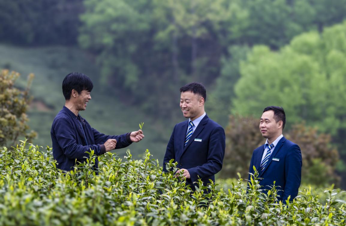 邮储银行安徽省分行深入田间,支持特色农业发展。