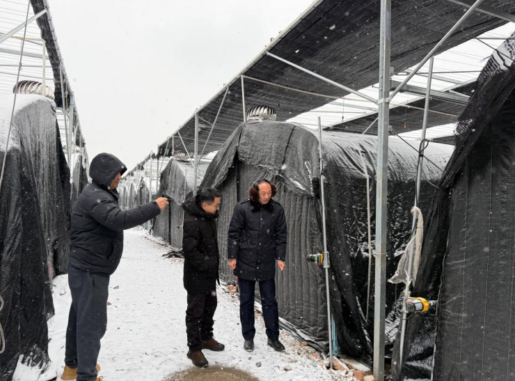 鎮農技人員冒雪深入田間。