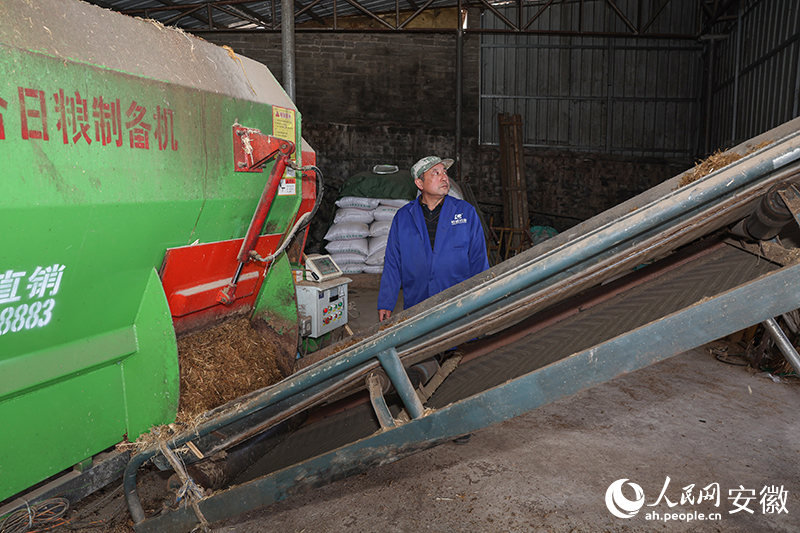 一大早，高声杰忙着准备草料。人民网记者 张俊摄