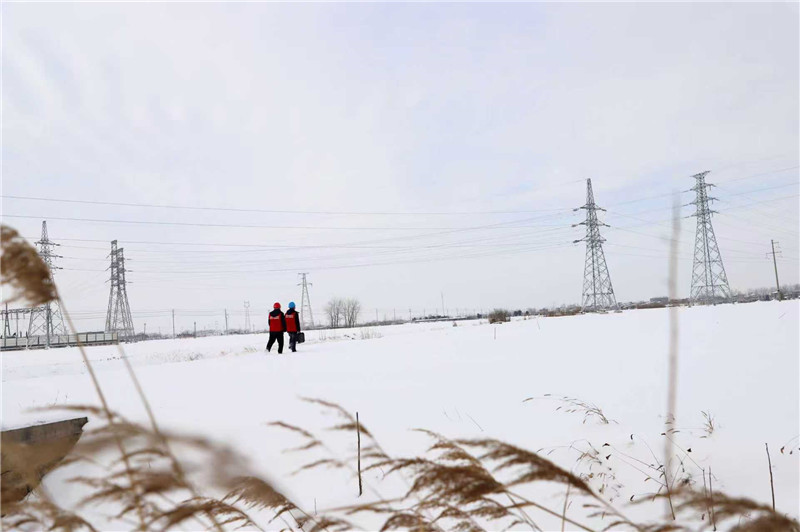 踏雪巡线保供电。