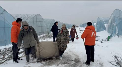 理赔员帮助农户清理地面积雪。平安产险安徽分公司供图