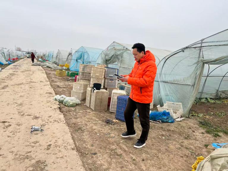 理赔员指导农户使用无人机吹雪。平安产险安徽分公司供图