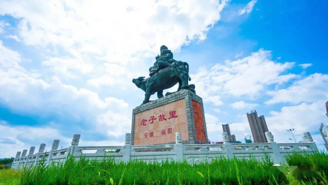 安徽涡阳。涡阳县委宣传部供图