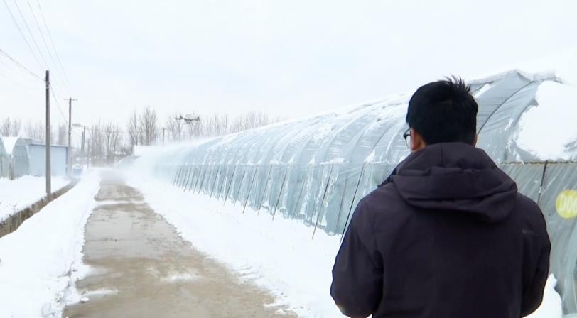 萧县尚俊家庭农场使用无人机清除大棚上的积雪。