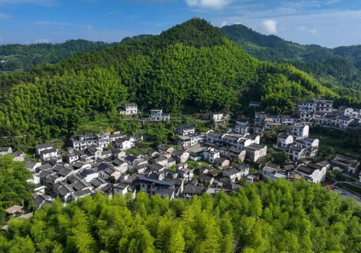 俯瞰灵山村。
